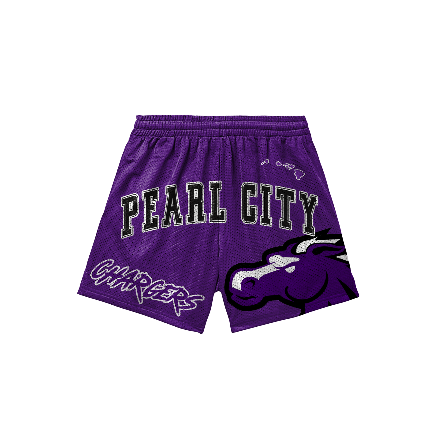 PCHS Volleyball Mesh Shorts - Purple