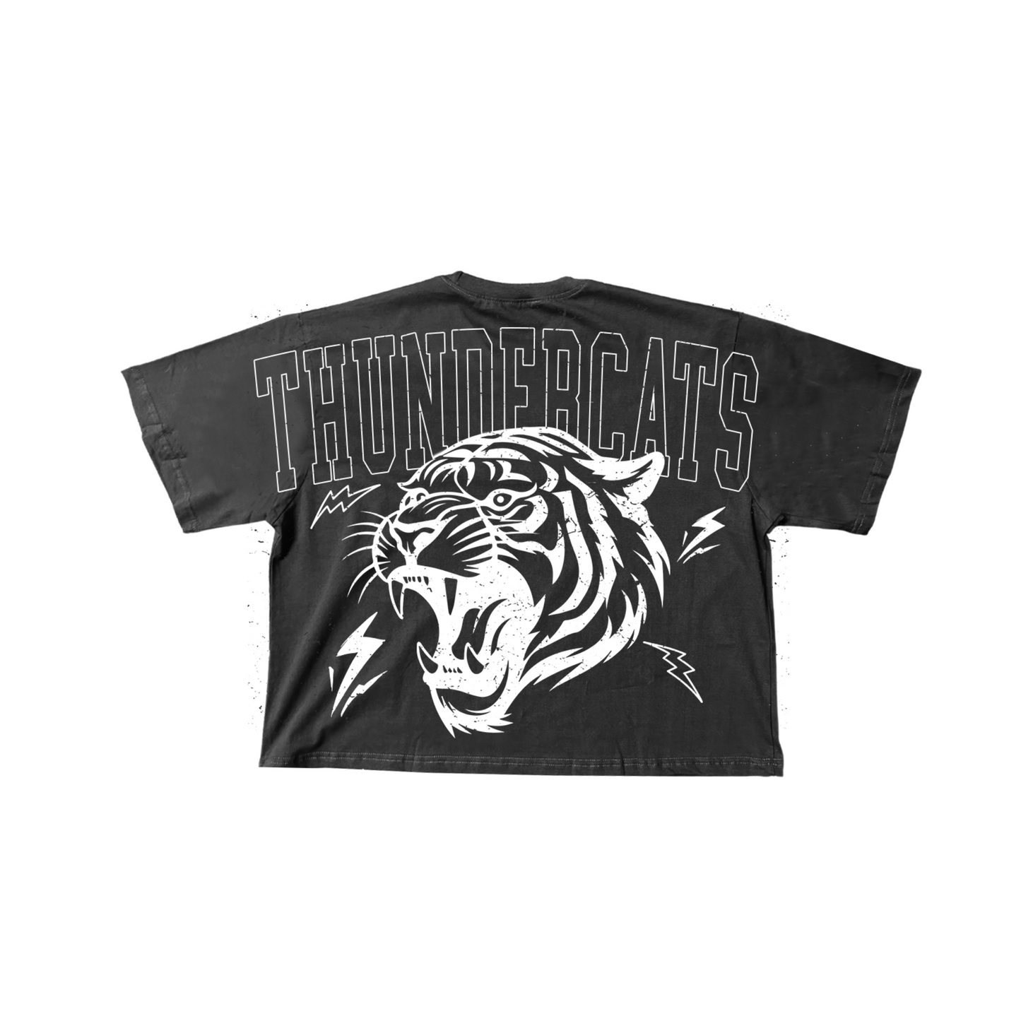 Thundercats Oversized T-Shirt Vintage Cat