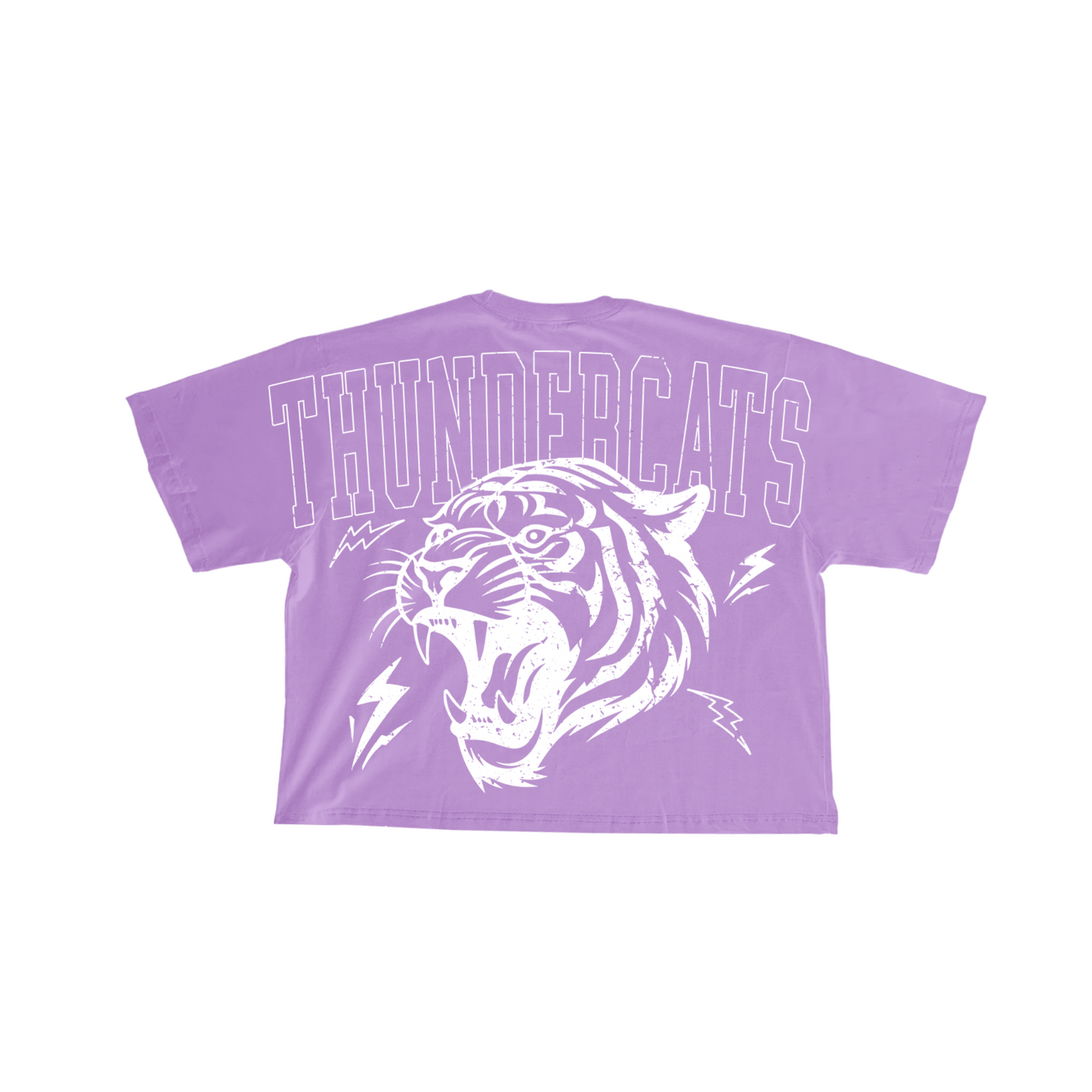 Thundercats Oversized T-Shirt Vintage Cat