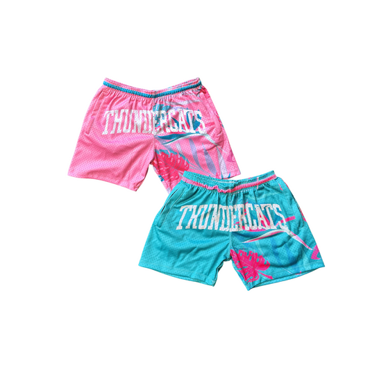Thundercats Team Mesh Shorts Pink Teal